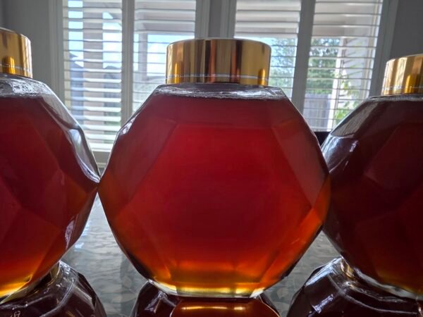 Pure Texas Wildflower Honey 1.2 LB (19.2 Oz) Unfiltered, Raw 100 percent natural