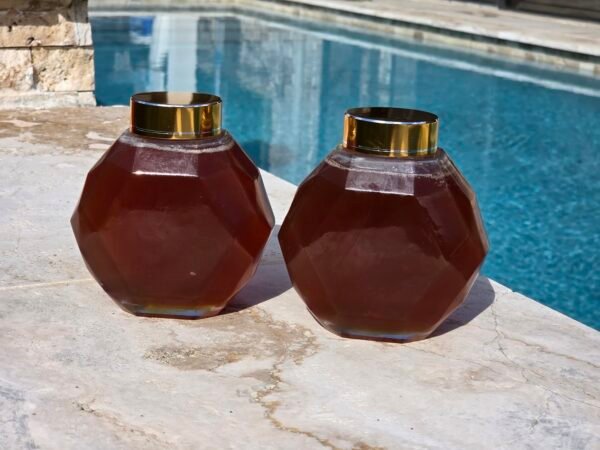 Pure Texas Wildflower Honey 1.2 LB (19.2 Oz) Unfiltered, Raw 100 percent natural