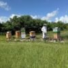 Pure Texas Wildflower Honey 1.2 LB (19.2 Oz) Unfiltered, Raw 100 percent natural