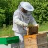 Pure Texas Wildflower Honey 1.2 LB (19.2 Oz) Unfiltered, Raw 100 percent natural